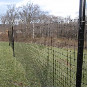 Deer fence kits - Deer in the garden | Deerfence Usa